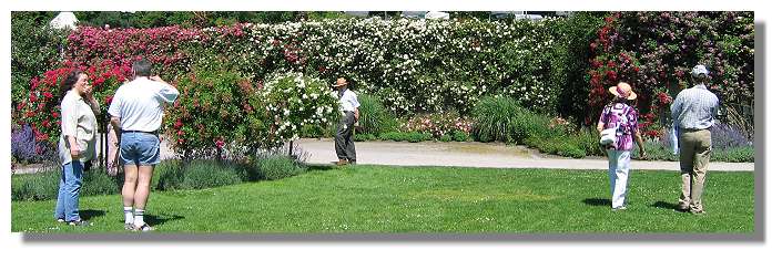 [Foto:juni-im-westfalenpark.jpg]