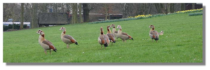 [Foto:maerz-im-westfalenpark.jpg]