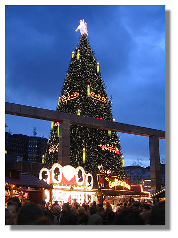 [Foto:weihnachtsbaum.jpg]