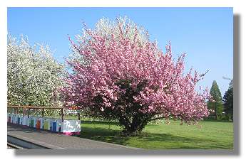 [Foto:april-im-westfalenpark.jpg]