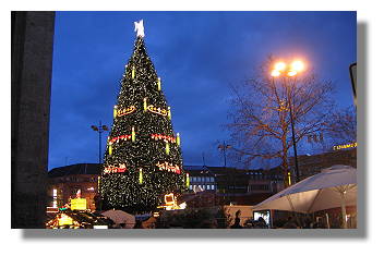 [Foto:weihnachtsbaum.jpg]