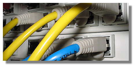 [Foto:netzwerkkabel.jpg]