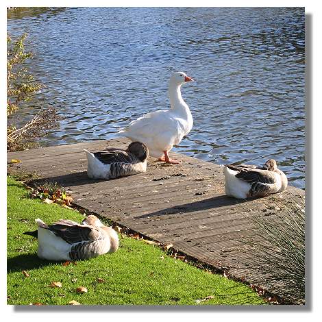 [Foto:oktober-im-westfalenpark.jpg]