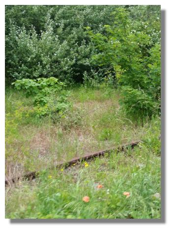 [Foto:bray-dunes-eisenbahntrasse.jpg]