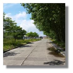[Foto:lombardsijde-kustweg.jpg]