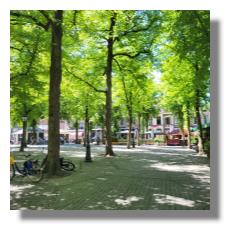 [Foto:utrecht-janskerkhof.jpg]