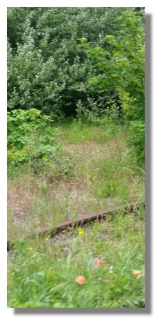 [Foto:bray-dunes-eisenbahntrasse.jpg]