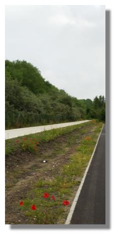 [Foto:bray-dunes-fahrradweg.jpg]