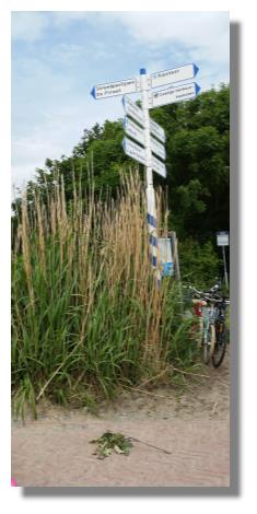 [Foto:cadzand-bad-zum-strand.jpg]