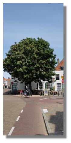 [Foto:middelburg-vlissingsestraat.jpg]