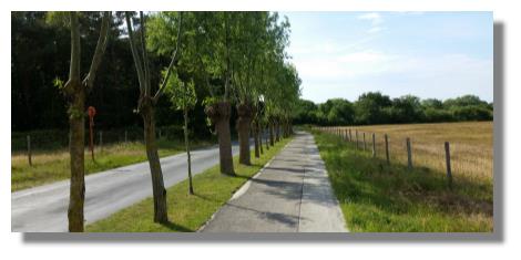 [Foto:knokke-heist-lippendreef.jpg]