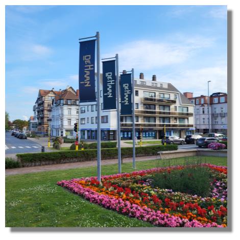 [Foto:de-haan-blumenmeer.jpg]