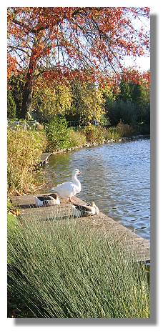 [Foto:oktober-im-westfalenpark.jpg]