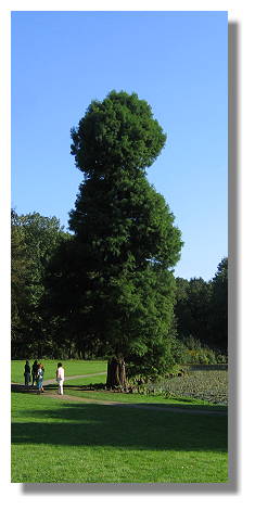 [Foto:picknick-im-park-bodelschwingh-denkmaltag.jpg]