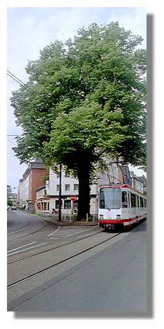 [Foto:umfahrung-beurhausstrasse.jpg]