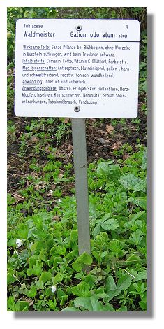 [Foto:waldmeister-tafel-kraeutergarten-rombergpark.jpg]