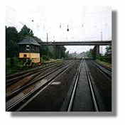 [Photo]
