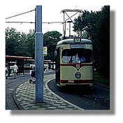 [Photo]