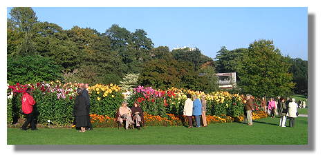 [Foto:dahlien-im-westfalenpark.jpg]