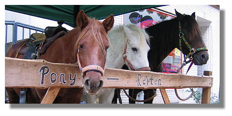 [Foto:erntemarkt-hoerde-2005-ponyreiten.jpg]