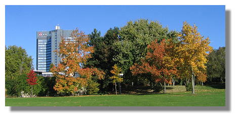 [Foto:oktober-im-westfalenpark.jpg]