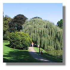 [Foto:schlosspark-bodelschwingh-denkmaltag.jpg]