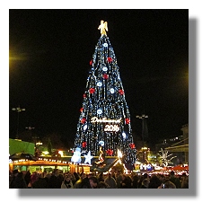 [Foto:weihnachtsbaum.jpg]
