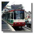 [Photo]