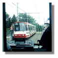 [Photo]